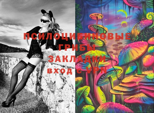 первитин Горняк