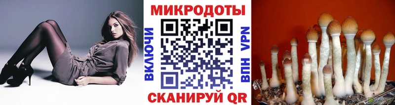 Купить где Темников Псилоцибиновые грибы мухоморы