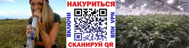Купить закладки  Темников  Бошки Шишки LSD WEED 
